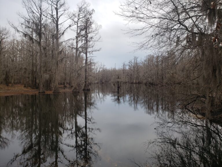 Black Bayou “The Offering”